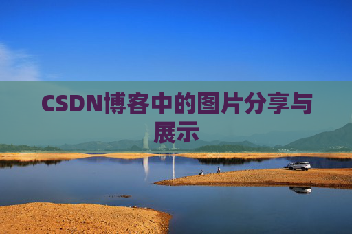 CSDN博客中的图片分享与展示